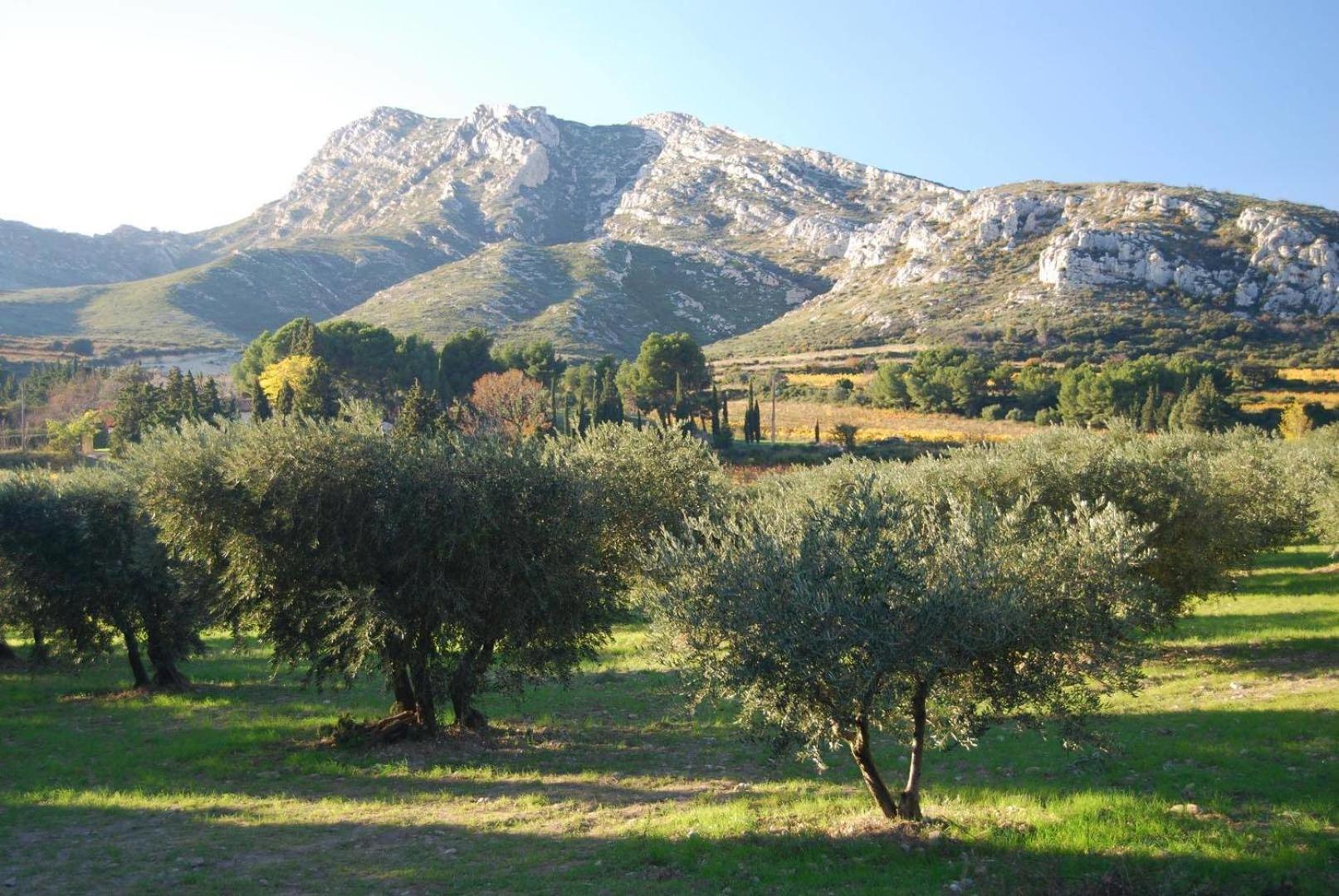 Sous Le Soleil Des Alpilles Apartment Mouries Exterior foto