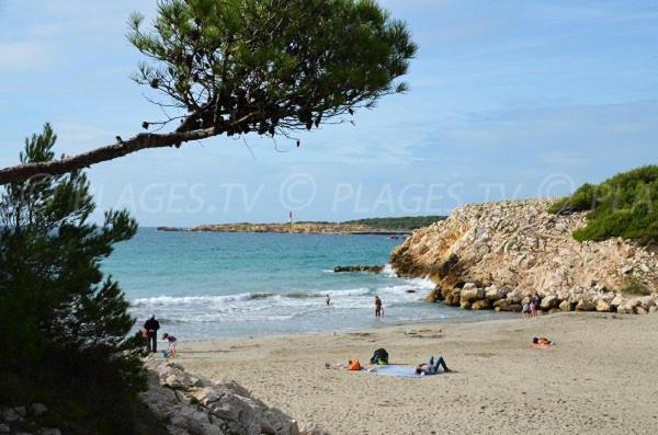 Sous Le Soleil Des Alpilles Apartment Mouries Exterior foto